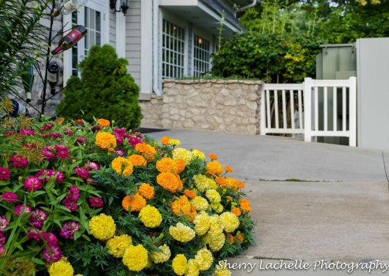 lKIFr6UjUApsBO5P3QuNam0G2V4EFasJQ1EYbSddSwg