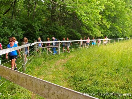 Taking a hike on the 1 mile scenic trail at Harmony Hill Vineyards