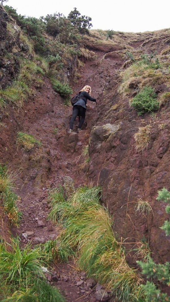 12033141_790802477708336_1196508744461633943_n